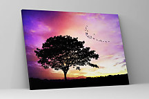 Obraz s osamelým stromom v podvečer zs1327